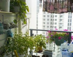 50平米現(xiàn)代亮麗小屋 砸墻做開放式臥室現(xiàn)代陽臺裝修圖片